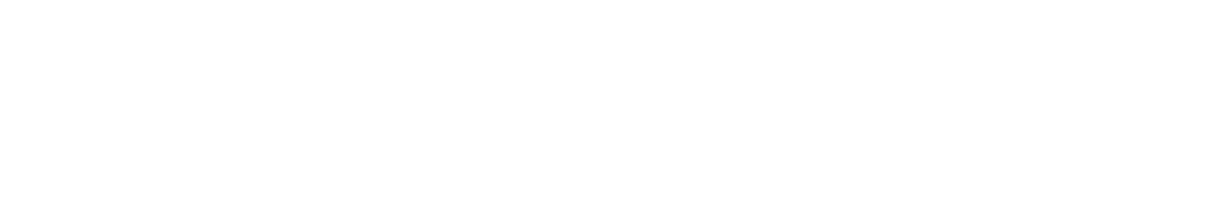 ministry of digital governance