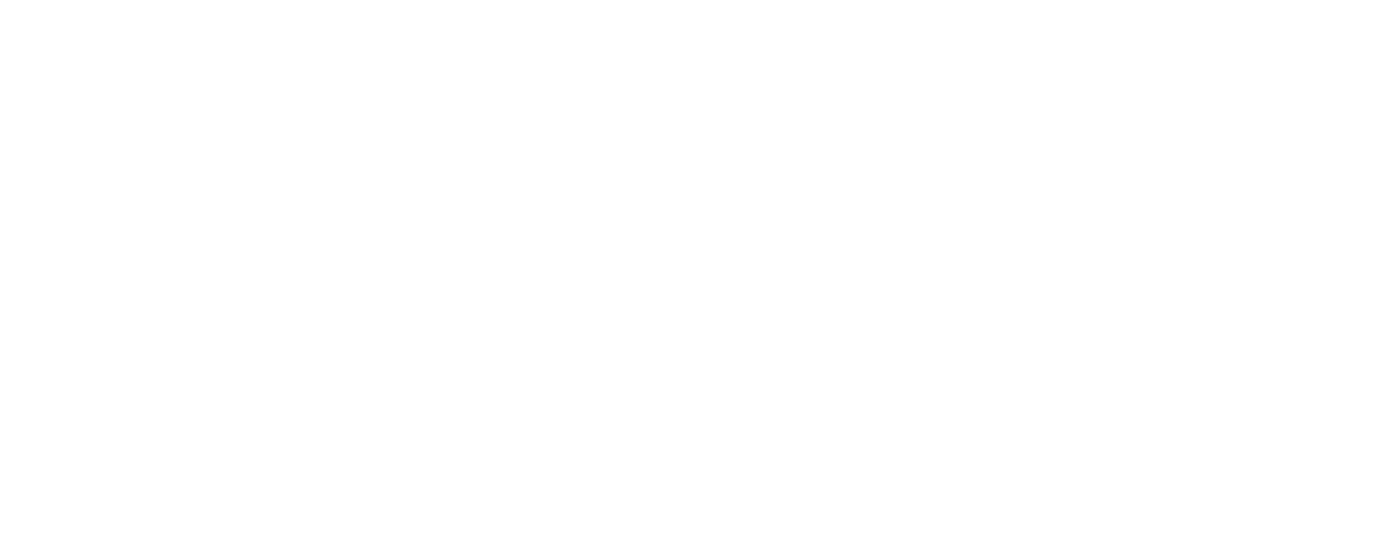 Logo university of Ioannina