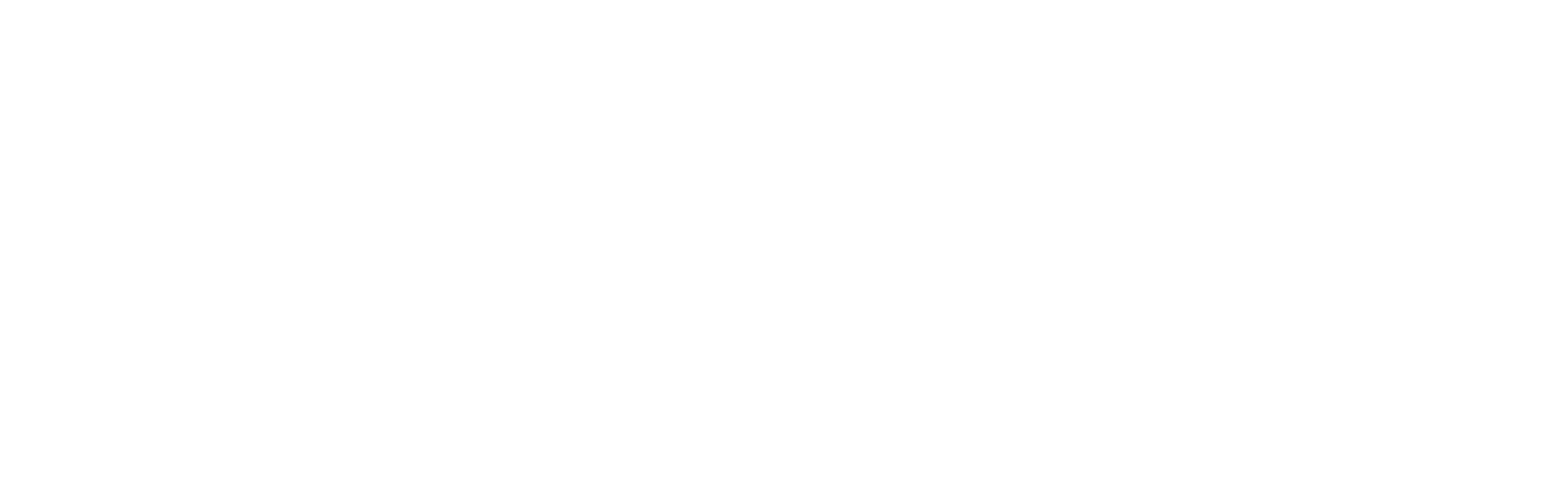 voicelogica-logo-white